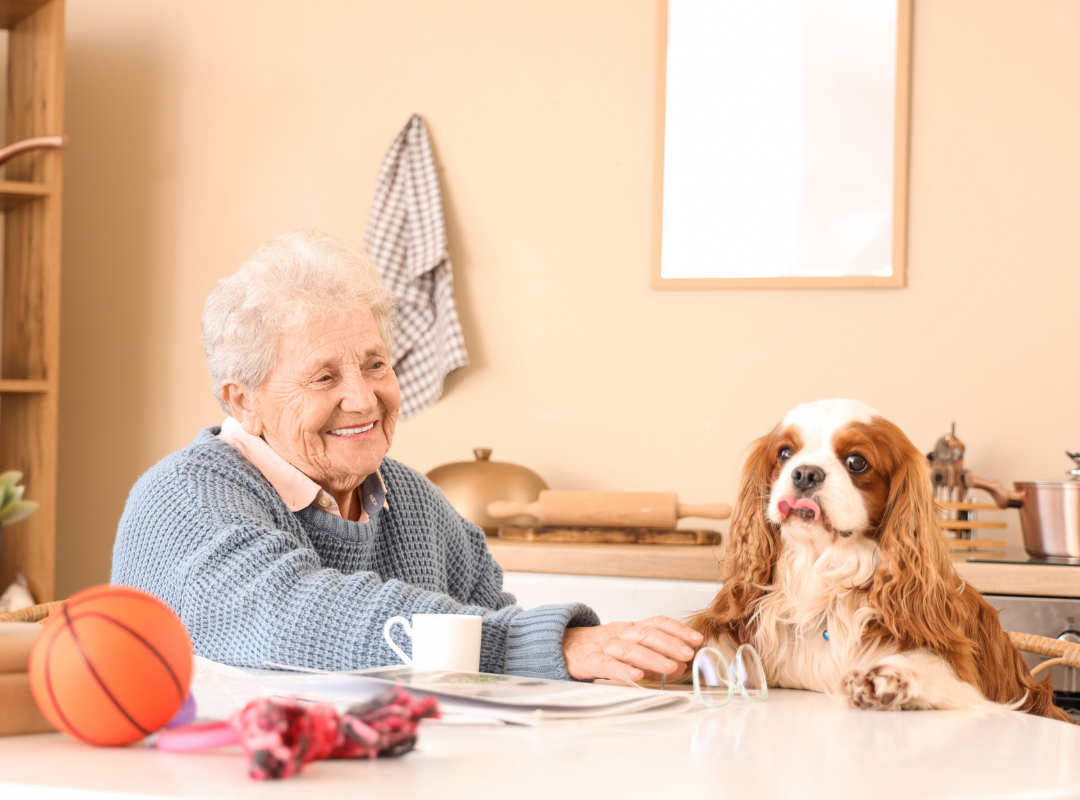 Pet-Friendly Senior Living: Care That Welcomes Pets and You